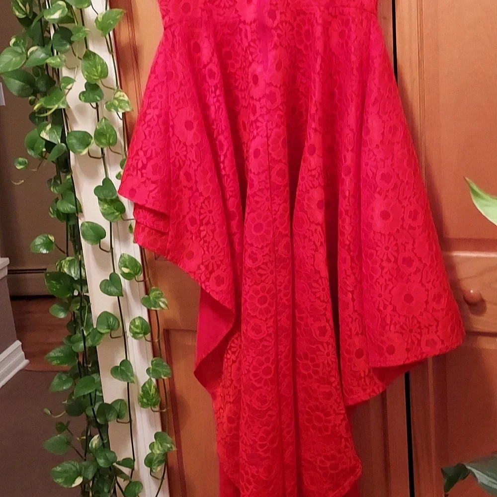 EIEN EUC Red Lace Dress - Picture 6 of 12